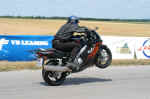 race2.jpg (58379 Byte)
