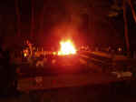 fire1.jpg (48488 Byte)