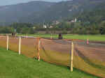 track2.jpg (85797 Byte)